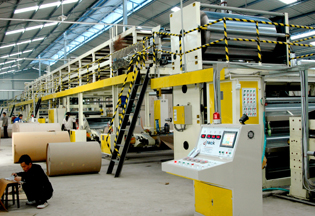 corrugated cardboard production line