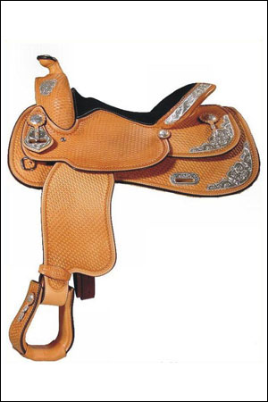 Western Saddle &amp; Briddles