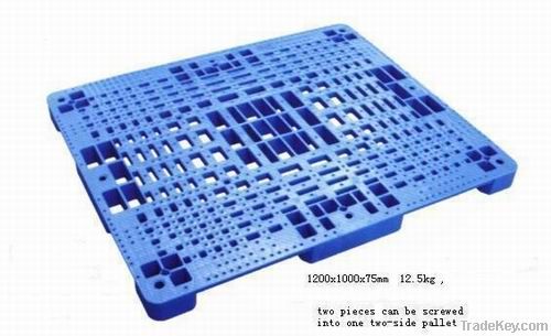 Pallet Mold