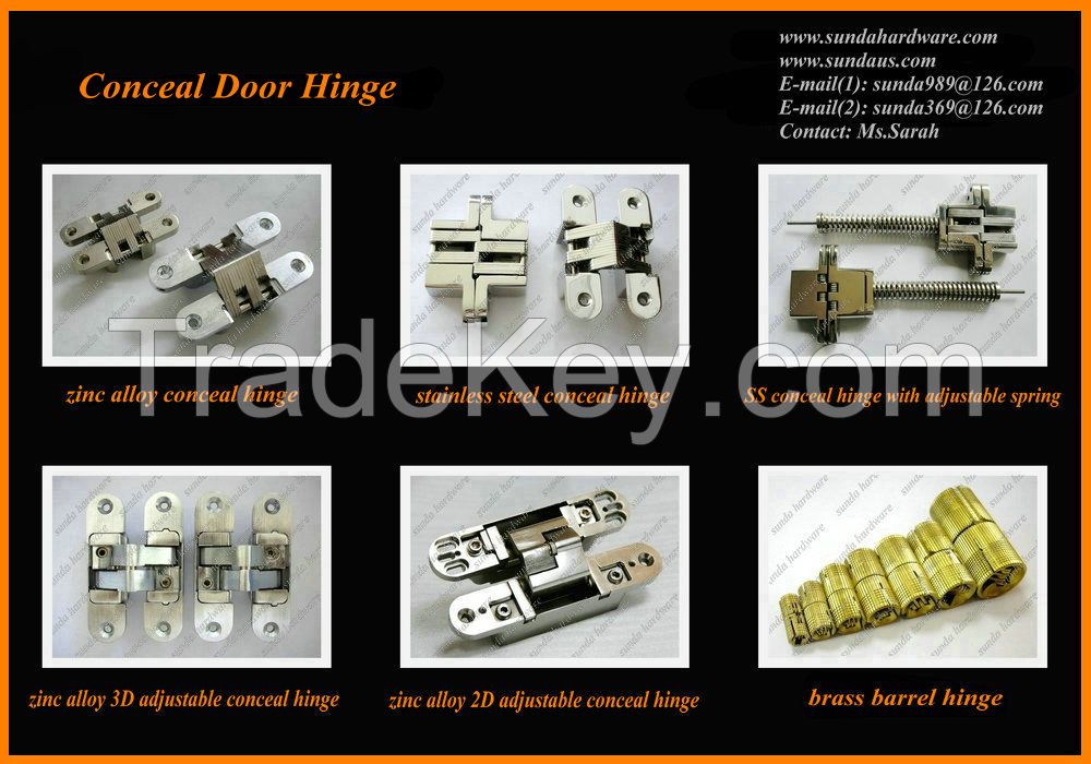 Conceal Door Hinge With Different Colors