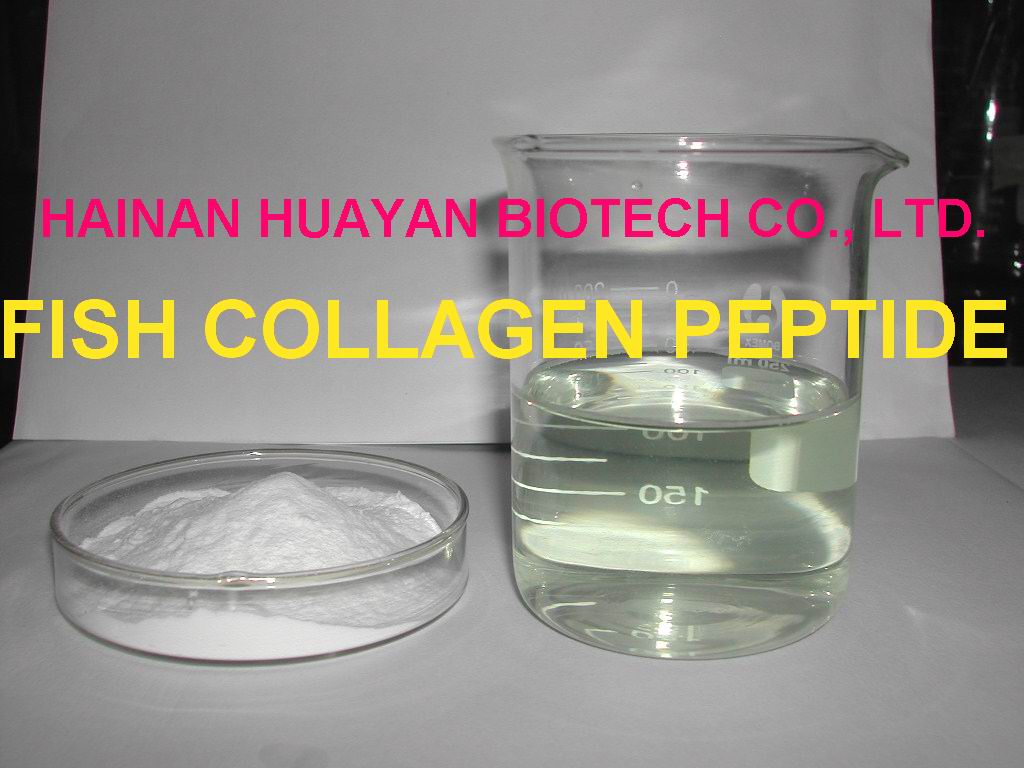 fish collagen peptide