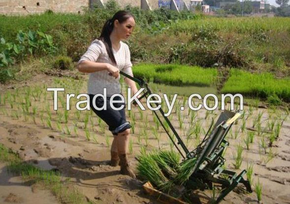 Heavy Duty 2 Rows Manual Rice Transplanter