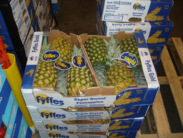 Tropical fruit Fresh Pineapple