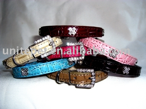 Pet Collar