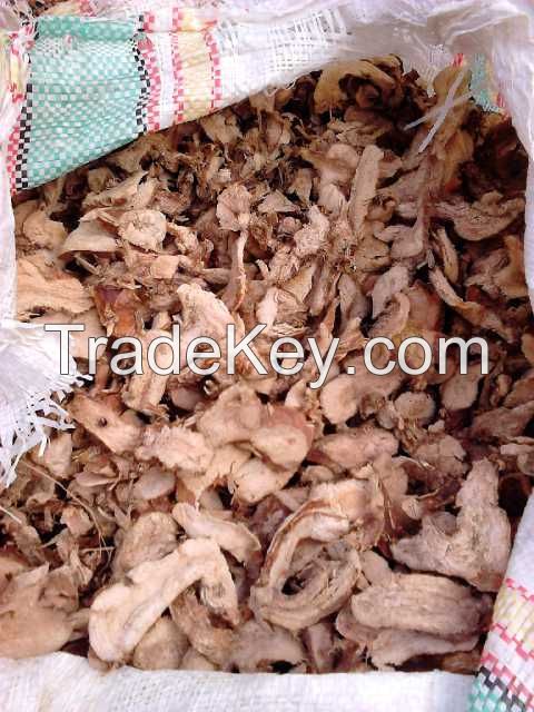 Dried Galangal from Indonesia