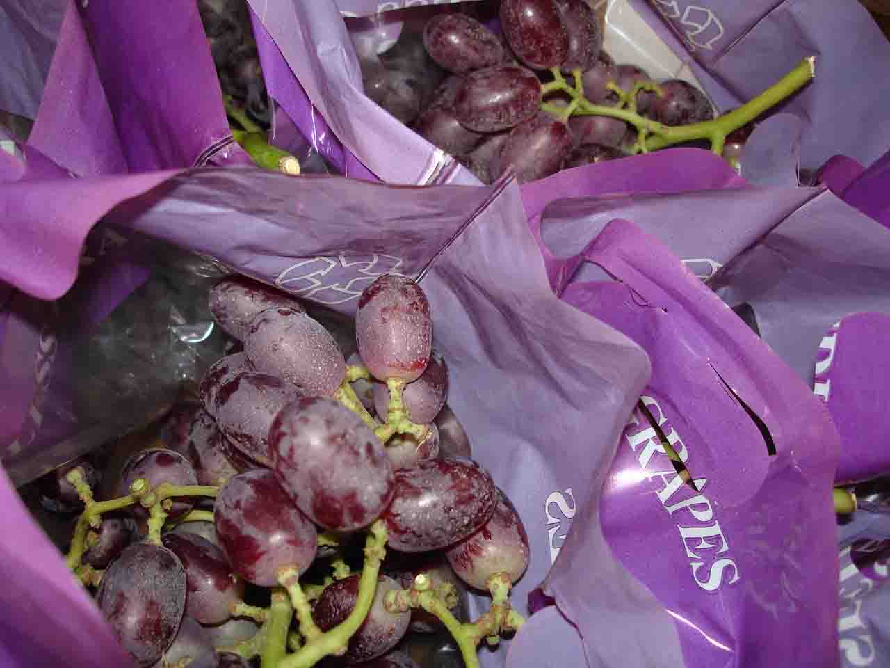 grapes