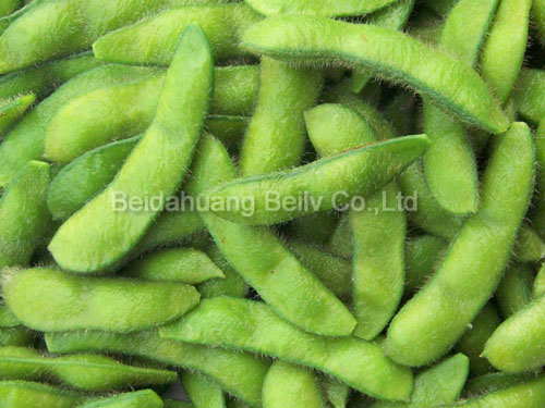 organic frozen edamame, iqf edamame, frozen edamame