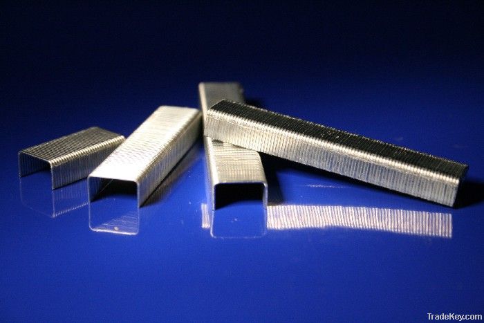 ISO Quality Electreo Galvanized Staple Wire