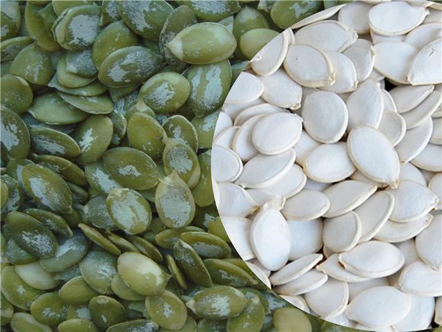 snow white pumpkin seeds