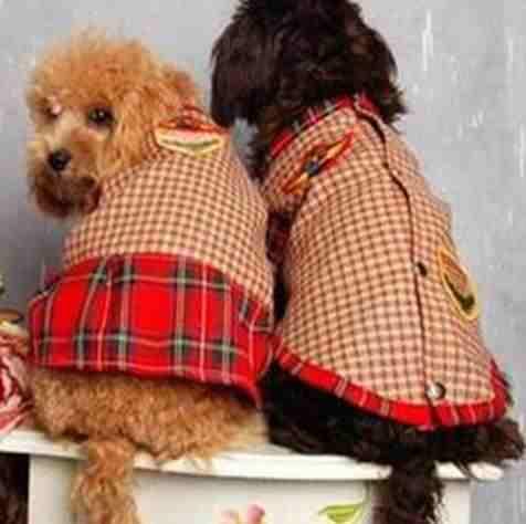 Pet Clothing, Dog Clothing, Pet Clothes, Dog Clothes, pet apparel