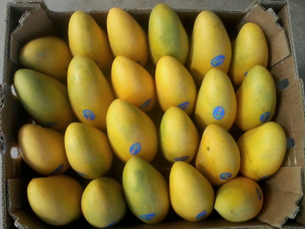 Mango Ataulfo