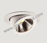 25W LED Swivel &amp; Scoop Downlight