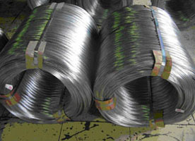 Electro Galvanized Steel Wire