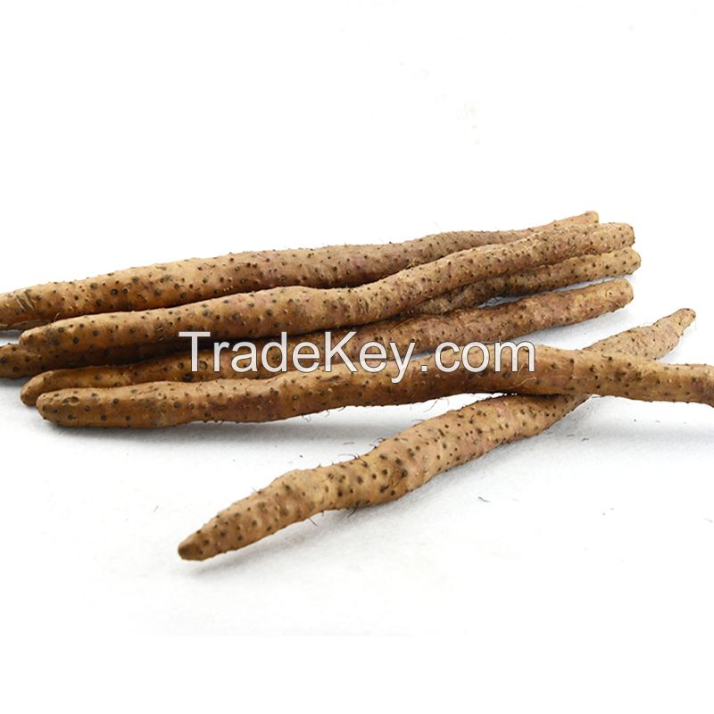  Chinese fresh Iron Stick Yam