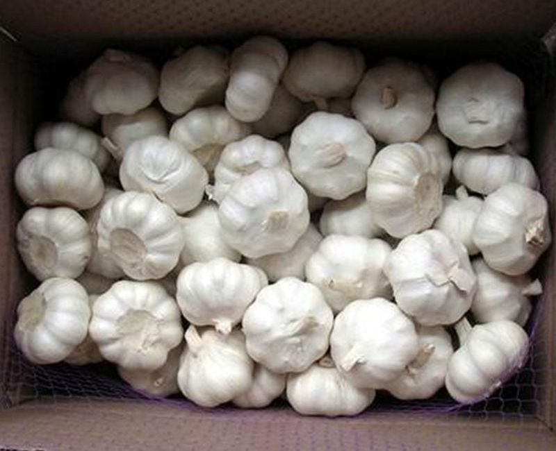 China Factory Exporter 2017 New Crop Normal White Garlic, Pure White Garlic