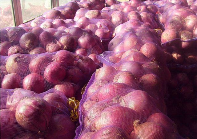 Natural Fresh Red Onions for Sale at Low Market Price