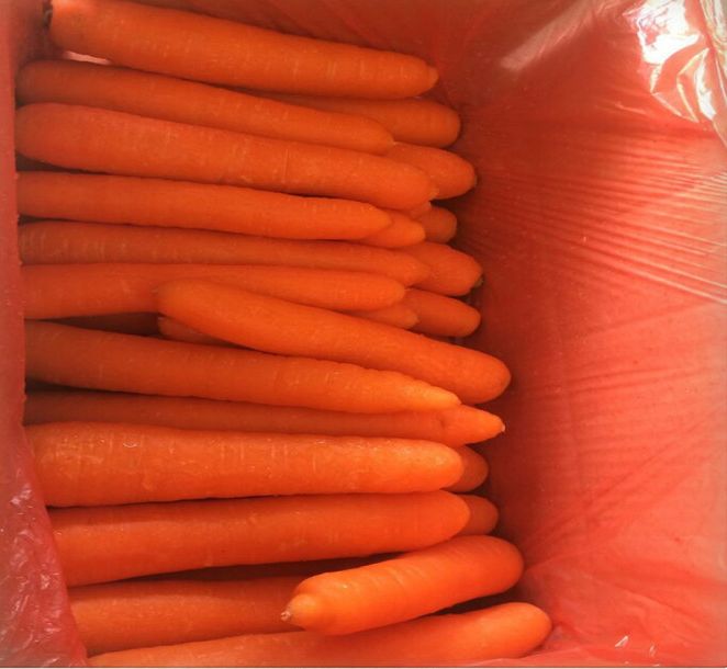 hot sale cheap carrots seller