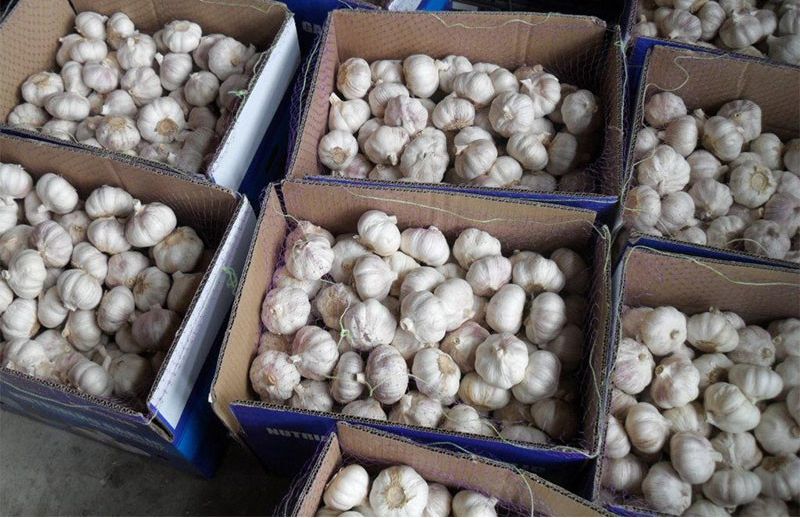 China Factory Exporter 2017 New Crop Normal White Garlic, Pure White Garlic