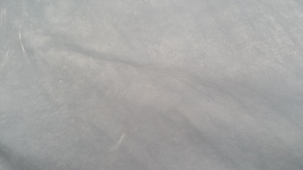 Cow hides wet blue