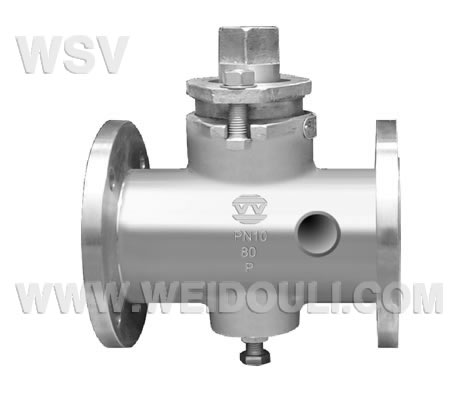 Steam Jacket Valve