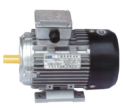 MS SERIES ALUMINUM HOUSING THREE-PHASE INDUCTION MOTOR