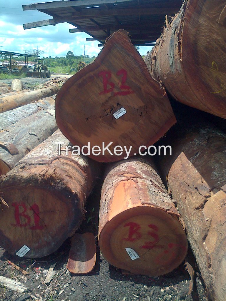 Suriname Hardwoods