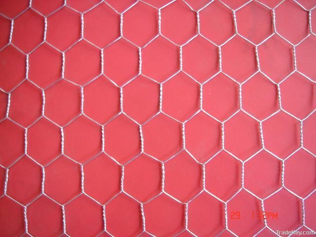 hexagonal wire netting