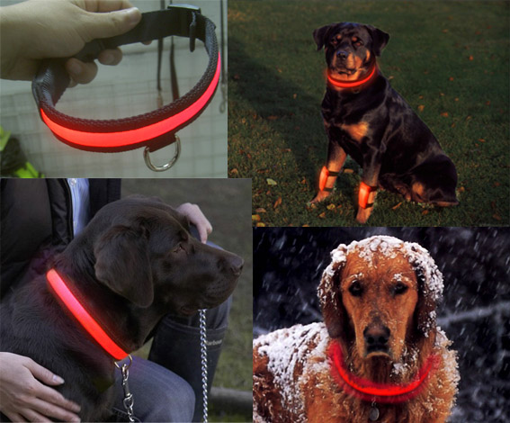 flashing pet collar