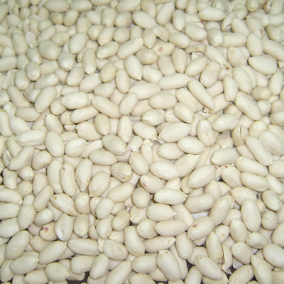 Blanched Peanut Kernel