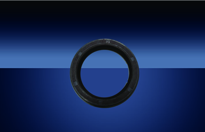 Oil Seal