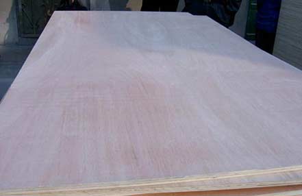 Commercial plywood