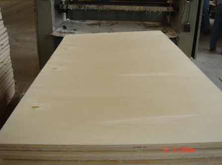 Bleached poplar plywood