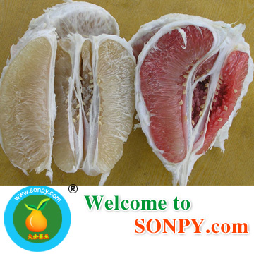 Guanxi Pomelo