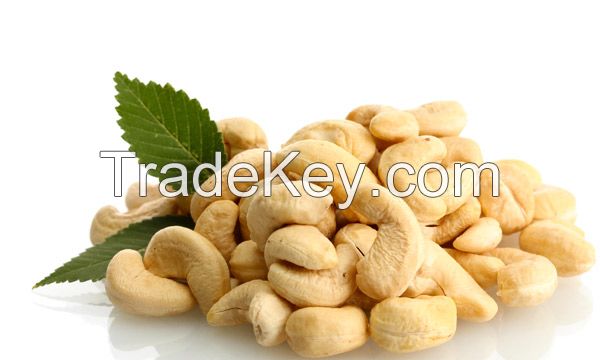 Cashew Nut