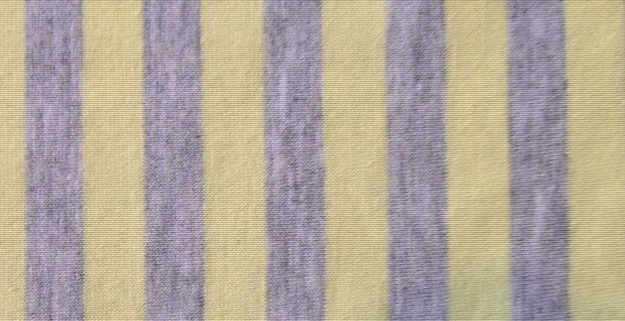 Single Jersey With Spandex