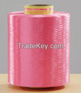 Polyester Yarn