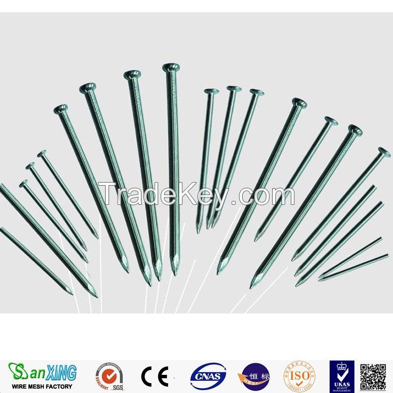 Hot-selling polished common nails/roofing nails/flat head nails from Anping Sanxing