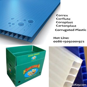 Plastic Corrugated Sheet / Board