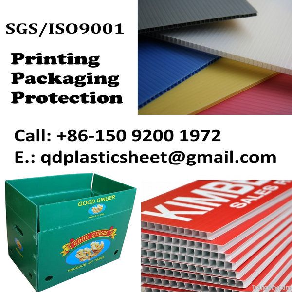 PP Corrugated Sheet