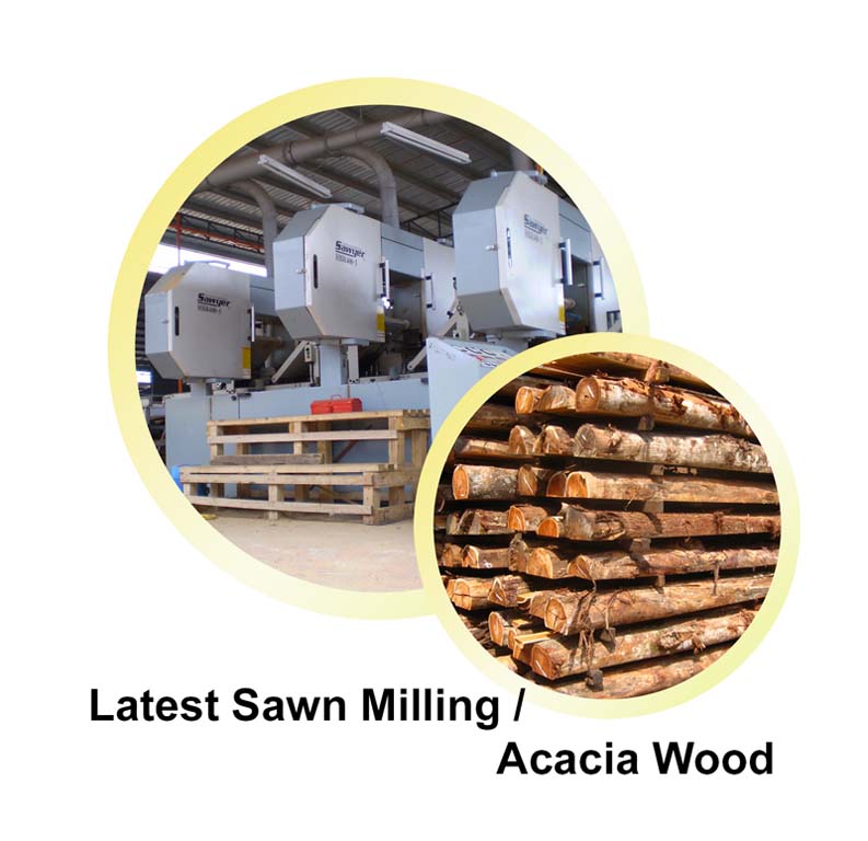 ACACIA MANGIUM WOOD