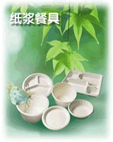 eco-friendly disposable tableware