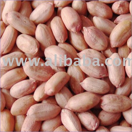 GROUND NUT KERNEL