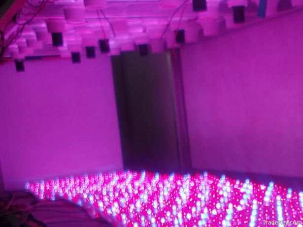 led grow light