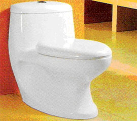 toilet