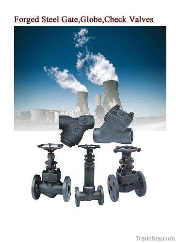 Forged steel gate valve, globe valve, check valve, strainers