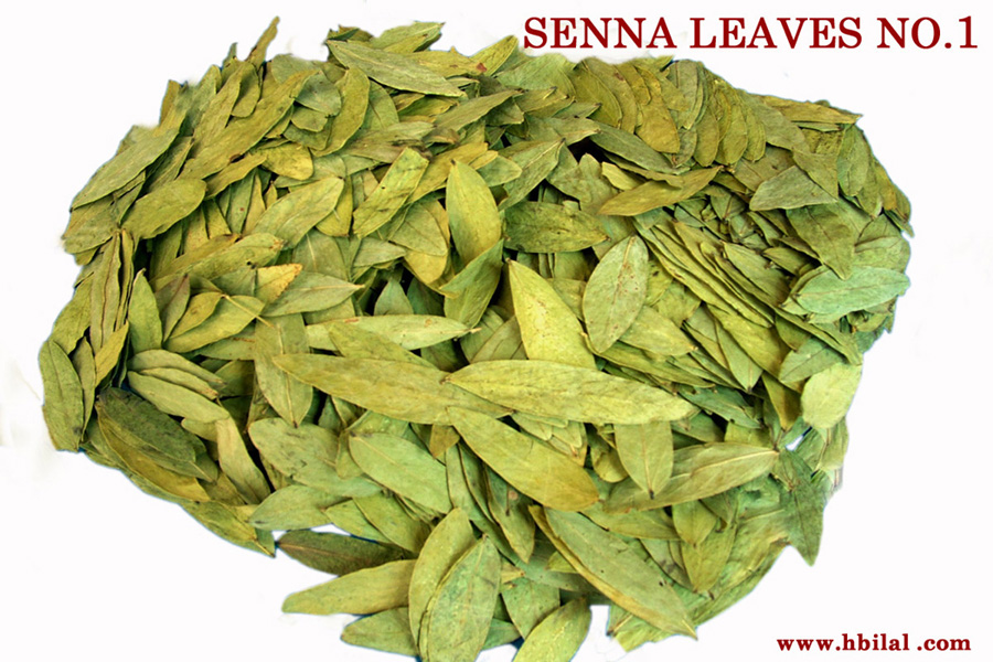 Senna Leaves