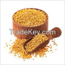 Top Grade Yellow Mustard Seeds