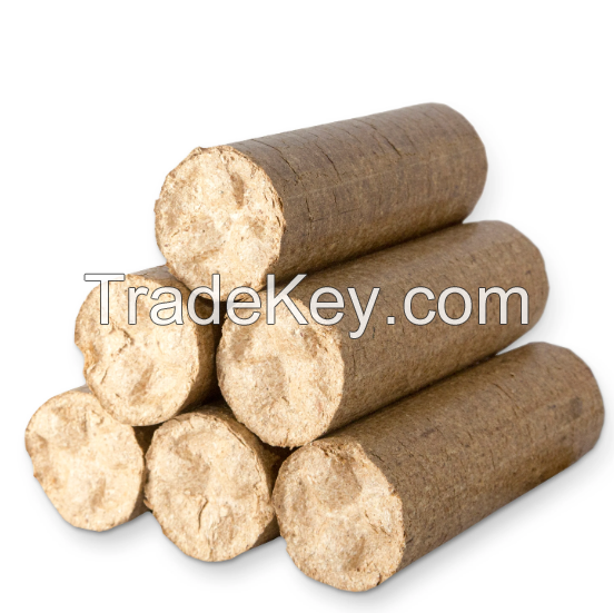 Best Pine wood logs