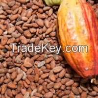 Raw Cacao Cocoa Beans Nibs Seeds Best Price, Buy Raw Cacao Cocoa Beans