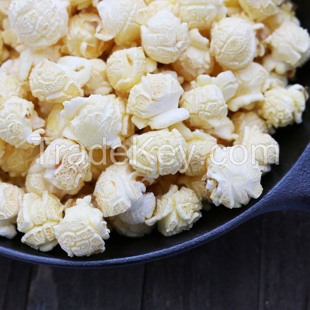 High Quality Yellow, Blue, Red, Rainbow Gourmet Mushroom and Butterfly Popcorn Kernels For Sale